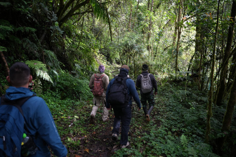 Sendero Los Quetzales, Panama